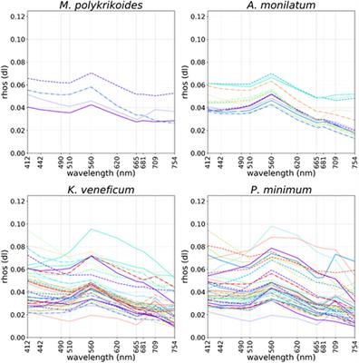 Current and Future Remote Sensing of Harmful Algal Blooms in the Chesapeake Bay to Support the Shellfish Industry